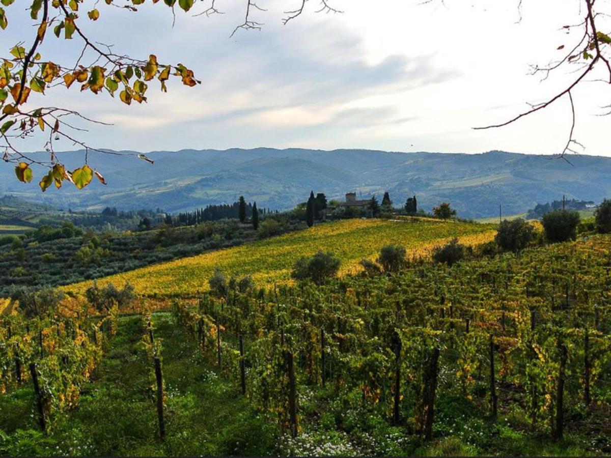 Holiday Home Locazione Turistica Selvapiana By Interhome グレーヴェ・イン・キアンティ エクステリア 写真